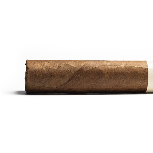 Casa 1910 Soldadera Edition Teniente Angela Toro Cigar - 1 Single